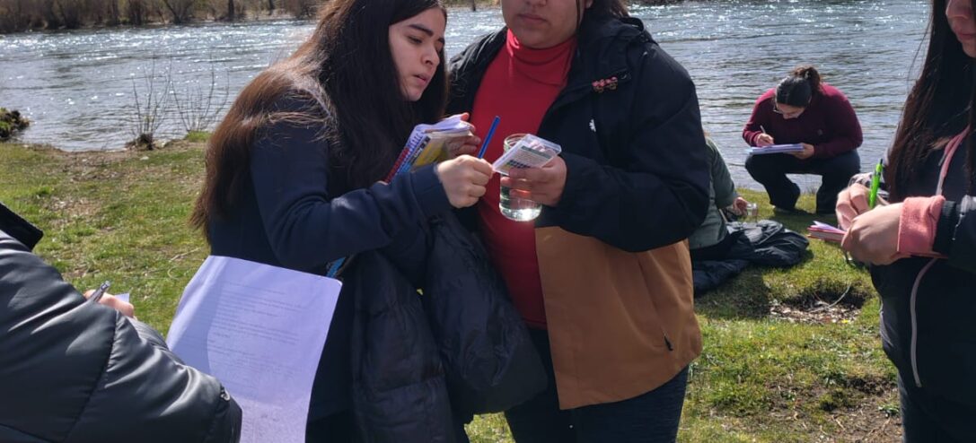 WhatsApp Image 2025-11-12 at 10.19.18