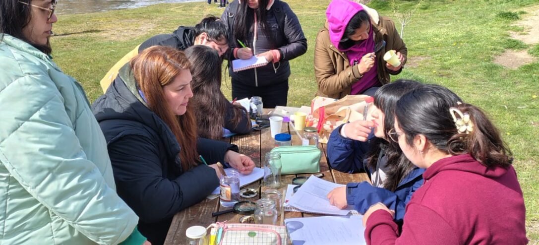 WhatsApp Image 2025-11-12 at 10.19.19